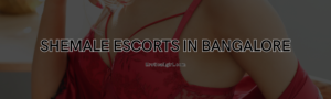 Read more about the article Shemale Escorts in Bangalore