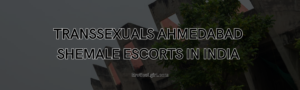 Read more about the article Transsexuals Ahmedabad – Shemale Escorts in India