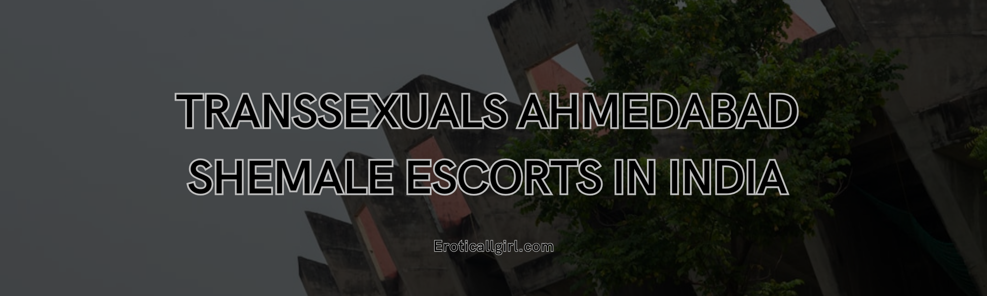 Transsexuals Ahmedabad – Shemale Escorts in India