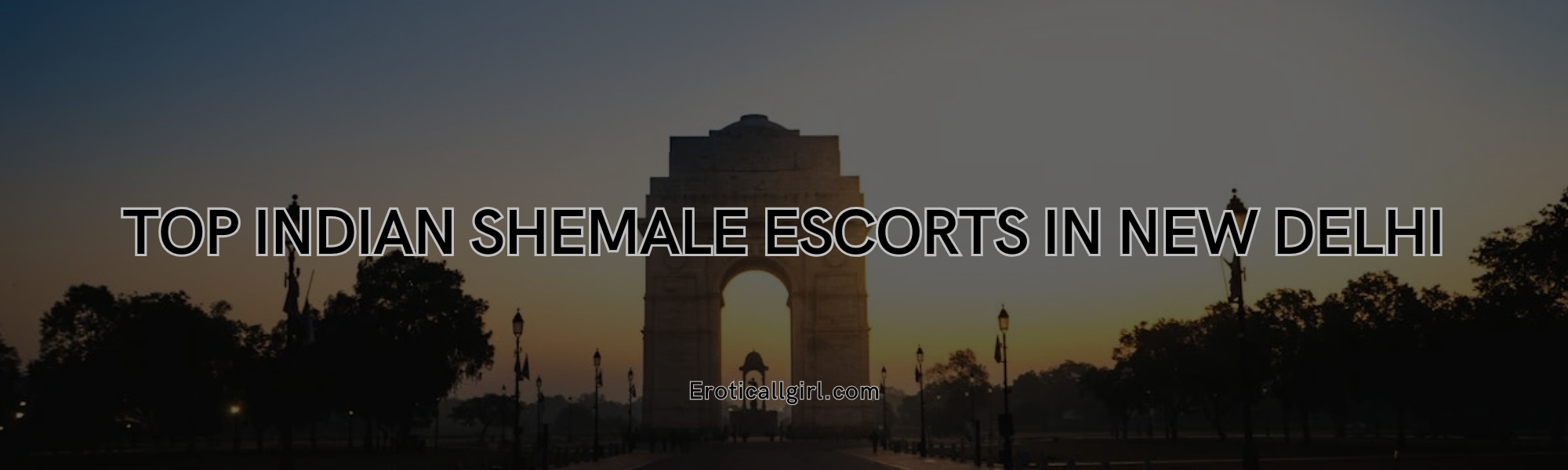 Top Indian Shemale Escorts in New Delhi